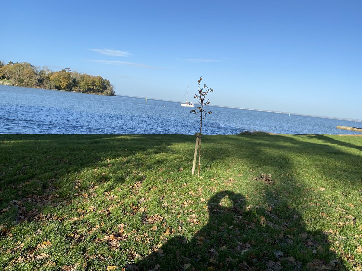 Making the most of a glorious sunny day, who would thing it’s approaching December, lovely spot for a cup of tea after a nice walk and just 5 minutes from our new house, hopefully we are in by February?🤞