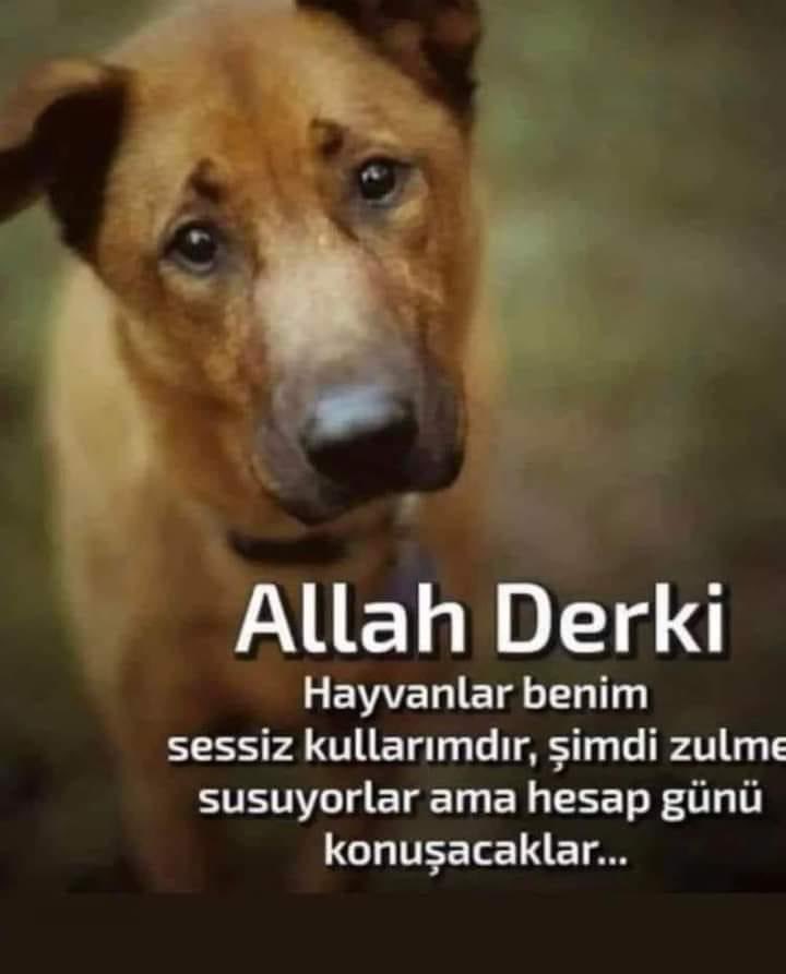 AŞKIN SAATİ :19:03 
#Konyadakatliamvar