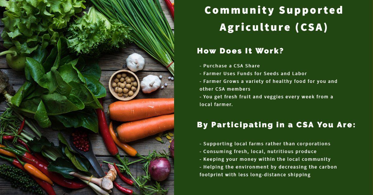 AmResilience's tweet photo. This Small Business Saturday, consider supporting your local farm by getting that special someone a "Community Supported Agriculture" weekly CSA box.

Find one near you at @LocalHarvestorg ~ https://t.co/yww8ZbguHl

#smallbusinesssaturday #CSA #supportlocalfarmers #CSAbox https://t.co/59NjRyCtpF
