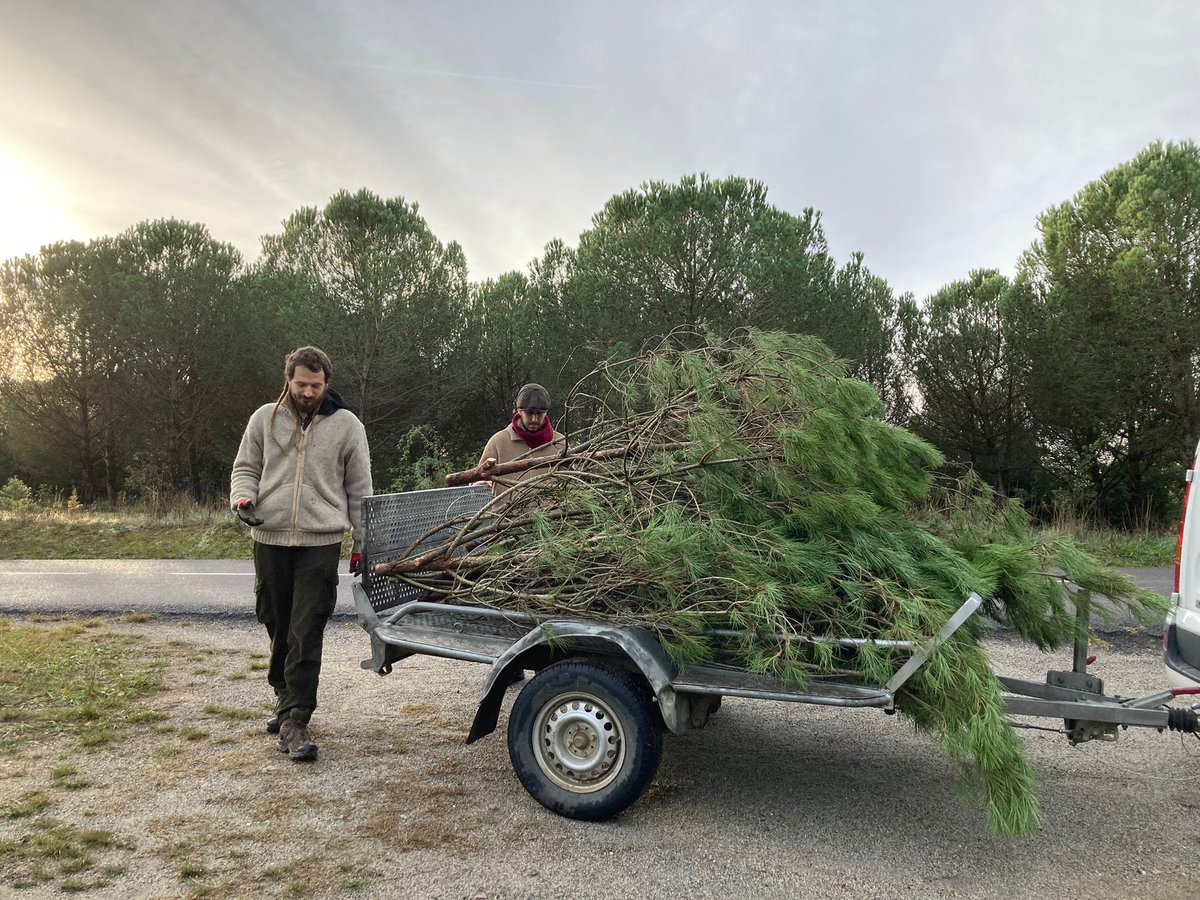 Ernest Morell Torra tweet media