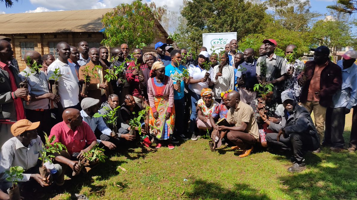 NETCARE16's tweet image. NETCARE and KPCG will track and monitor tree growing in partnership with local communities to ensure maturity and promoting climate change mitigation and adaptation interventions as core objectives.@YfocasKenya @PACJA1 @kenya_climate #5BTREESKE @FellyLaban #Trees4Future
