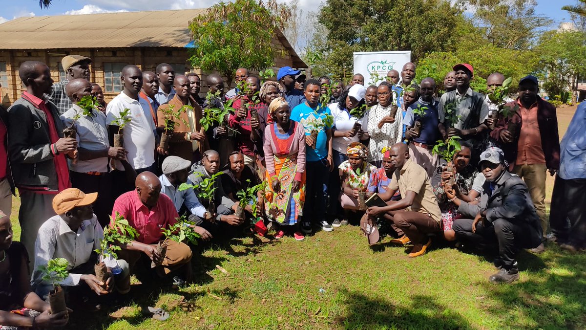 NETCARE16's tweet image. NETCARE and KPCG will track and monitor tree growing in partnership with local communities to ensure maturity and promoting climate change mitigation and adaptation interventions as core objectives.@YfocasKenya @PACJA1 @kenya_climate #5BTREESKE @FellyLaban #Trees4Future