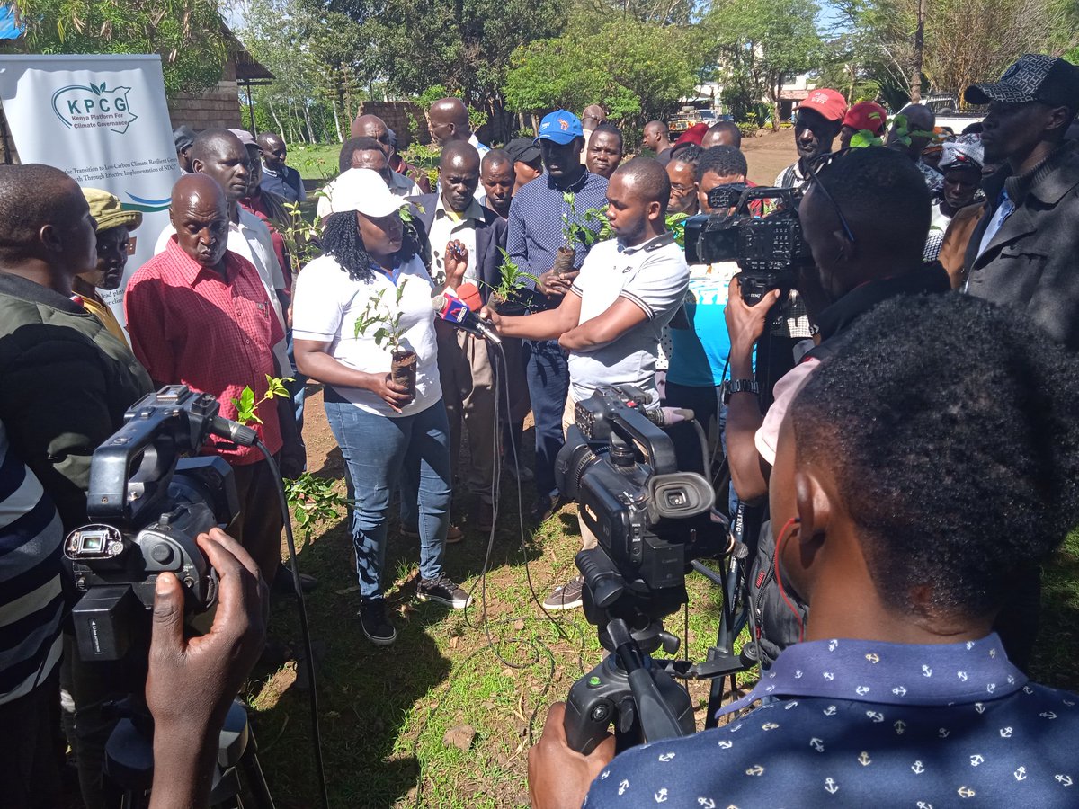 NETCARE16's tweet image. NETCARE and KPCG will track and monitor tree growing in partnership with local communities to ensure maturity and promoting climate change mitigation and adaptation interventions as core objectives.@YfocasKenya @PACJA1 @kenya_climate #5BTREESKE @FellyLaban #Trees4Future