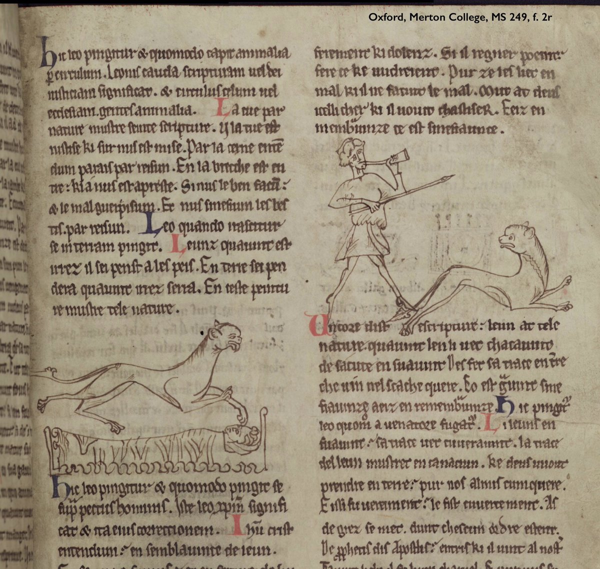 When the cat jumps on the bed and wakes you at 2 o’clock in the morning, so you have to chase it out of the room. #Medieval #Manuscripts #Cats #CatsOfTwitter #Caturday