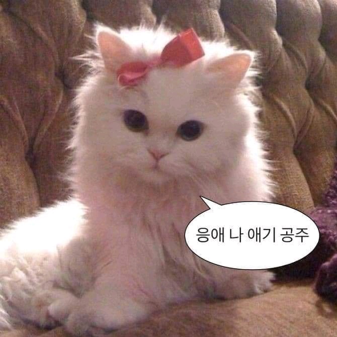 Kkulmatt's tweet photo. @milk_caramel__ 철가루 없으면 애기 공주(이런말... https://t.co/oKyTw3ccHg