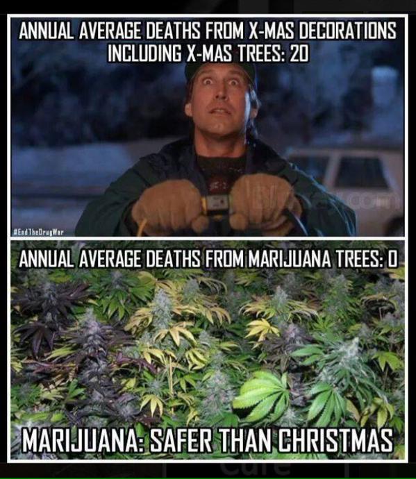 CouchManBakes's tweet image. Happy Holiblaze! Let the shenanigans continue! #Mmemberville #CannabisCommunity #StonerFam