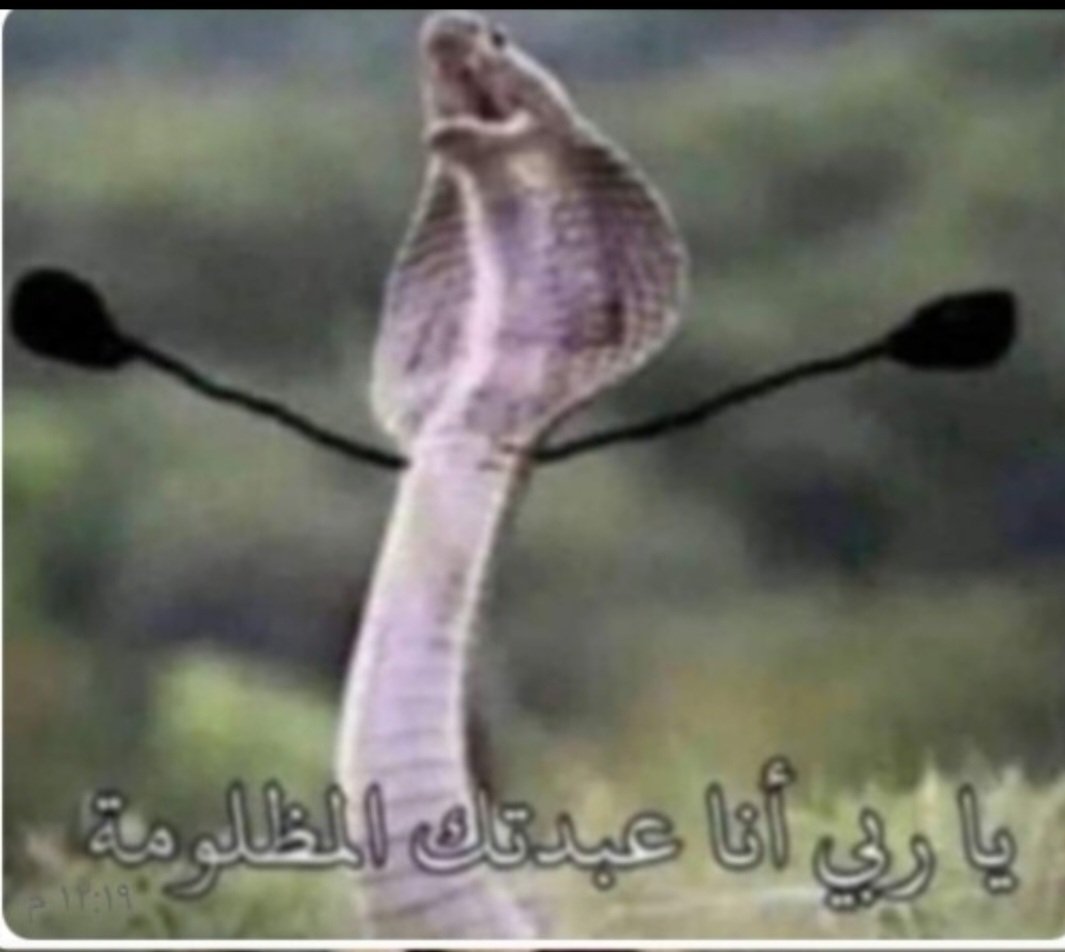albaraah9's tweet photo. @kh__182 🦦🦦 https://t.co/wzjCdPXNIw