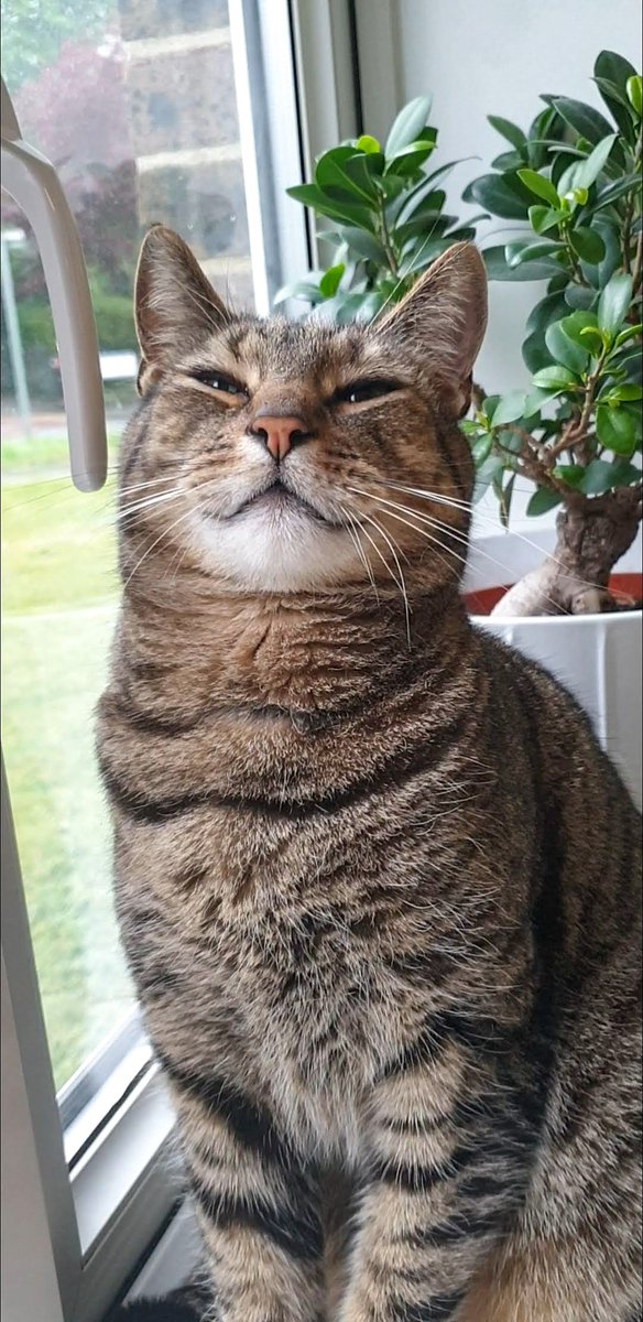 helloaeko's tweet photo. To my bestfriend in the whole wide world, I love you forever my beautiful boy 💔 https://t.co/LRdcwXYMCm
