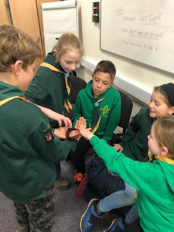 20thWorcester's tweet photo. Cubs asked for animals and we made it happen! Two amazing visits from John from Animal Mani this week. 

They absolutely loved meeting all the animals and hearing all of John’s facts 

#YouShape #SkillsForLife #Mighty20th https://t.co/coXfcESoAe