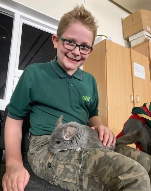 20thWorcester's tweet photo. Cubs asked for animals and we made it happen! Two amazing visits from John from Animal Mani this week. 

They absolutely loved meeting all the animals and hearing all of John’s facts 

#YouShape #SkillsForLife #Mighty20th https://t.co/coXfcESoAe