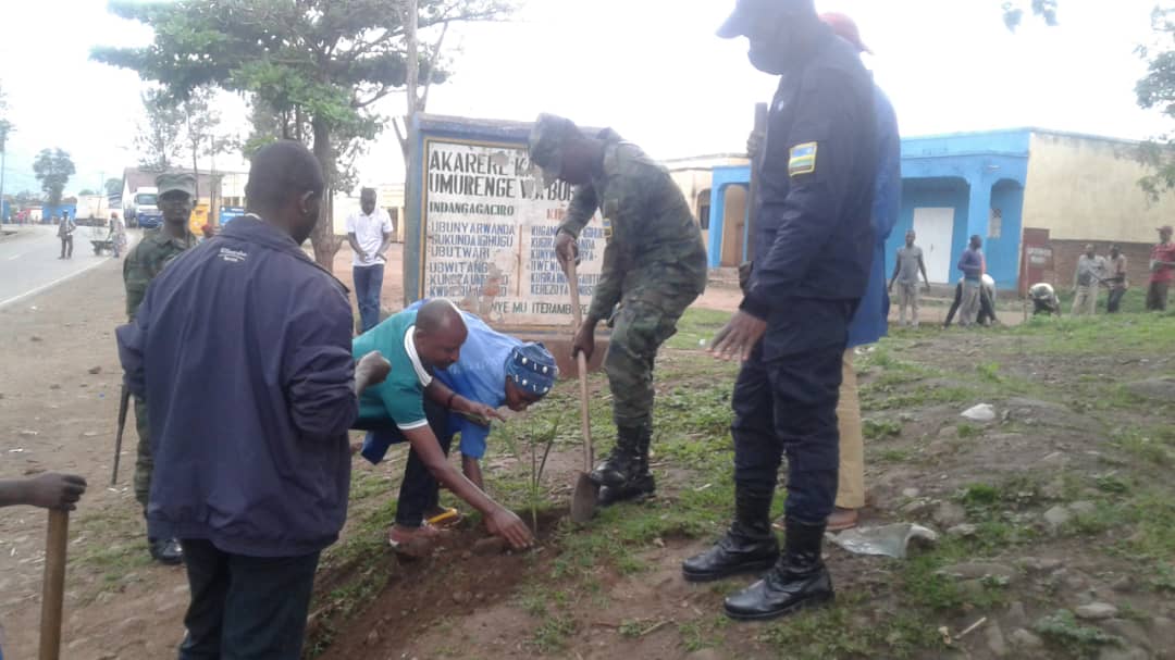 Bugarama Sector (@bugaramas) on Twitter photo Muri #Campaign ya <a href="/BugaramaS/">Bugarama Sector</a> #Icyeye #Itekanye& #Ikungahaye, Abaturage,Abayobozi &Inzego z'Umutekano (RDF,RNP&DASSO)twateye imikindo 653 hirya no hino mu mujyi. ES <a href="/nsengivet12/">Vincent de Paul NSENGIYUMVA</a> yakanguriye abaturage gukomeza kwita ku Isuku n'Umutekano <a href="/DrKibiriga/">Dr. ANICET KIBIRIGA</a> <a href="/HabitegekoFran1/">Habitegeko Francis</a> <a href="/RwandaLocalGov/">Ministry of Local Government | Rwanda</a> Muri #Campaign ya <a href="/BugaramaS/">Bugarama Sector</a> #Icyeye #Itekanye& #Ikungahaye, Abaturage,Abayobozi &Inzego z'Umutekano (RDF,RNP&DASSO)twateye imikindo 653 hirya no hino mu mujyi. ES <a href="/nsengivet12/">Vincent de Paul NSENGIYUMVA</a> yakanguriye abaturage gukomeza kwita ku Isuku n'Umutekano <a href="/DrKibiriga/">Dr. ANICET KIBIRIGA</a> <a href="/HabitegekoFran1/">Habitegeko Francis</a> <a href="/RwandaLocalGov/">Ministry of Local Government | Rwanda</a>