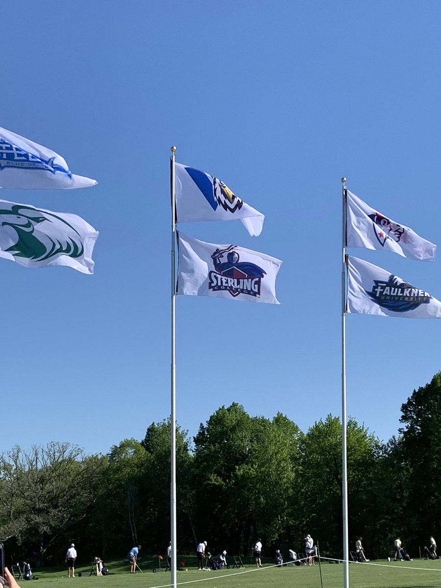 Sterling College Golf tweet media