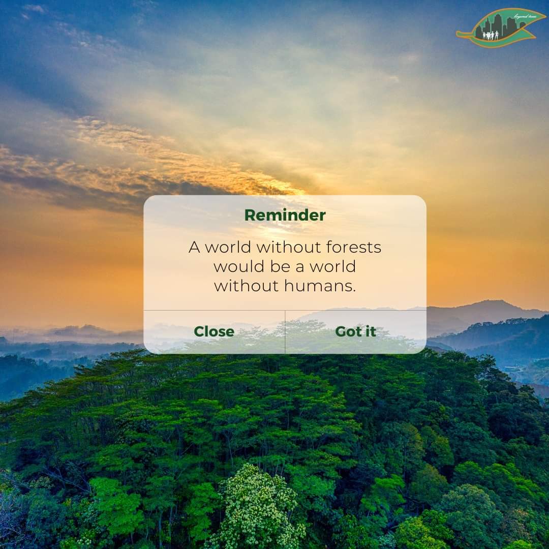 BeyondTreesNet's tweet photo. All of life on Earth depends on trees for survival. But, deforestation is causing problems in ways we can’t even comprehend. Although the complete annihilation of entire ecosystems is terrible, it’s actually worse than many people think. https://t.co/ckyOCDz2YH