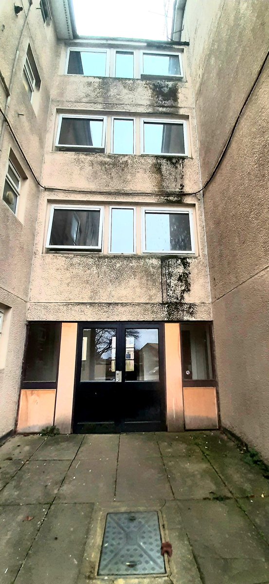 KerryReemaflats's tweet photo. A Labour Led Council That Allows Its Housing Stock to Go Unmaintained! #damp #black #mould #moss #leak #fungi #fungus #substandard #decenthomes #flats #unmaintained #neglected #tenants #noinsulation @iainastewart @Ben_Everitt @mkcouncil @MKLabourParty @MKConservatives @emily4MK https://t.co/AoF2YE8law