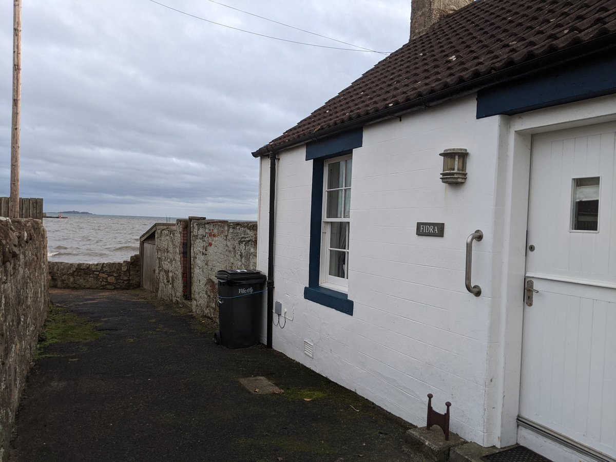 Andrea Cook 🧷 💙 tweet media