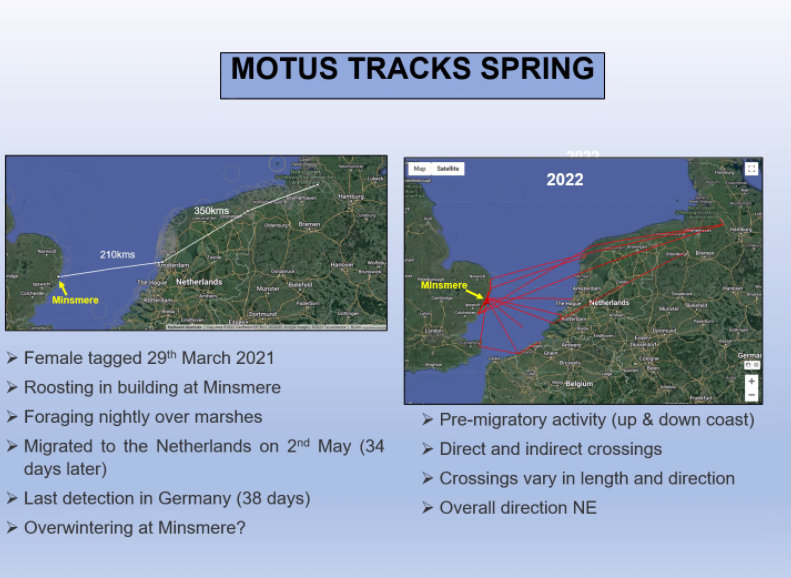 _BCT_'s tweet photo. Some interesting Spring results from @NorwichBats about the Nathusius' pipistrelle and some interesting movement tracking with MOTUS. Did you know bats travel this far? #EastBatConf https://t.co/Nue4zG7xTd