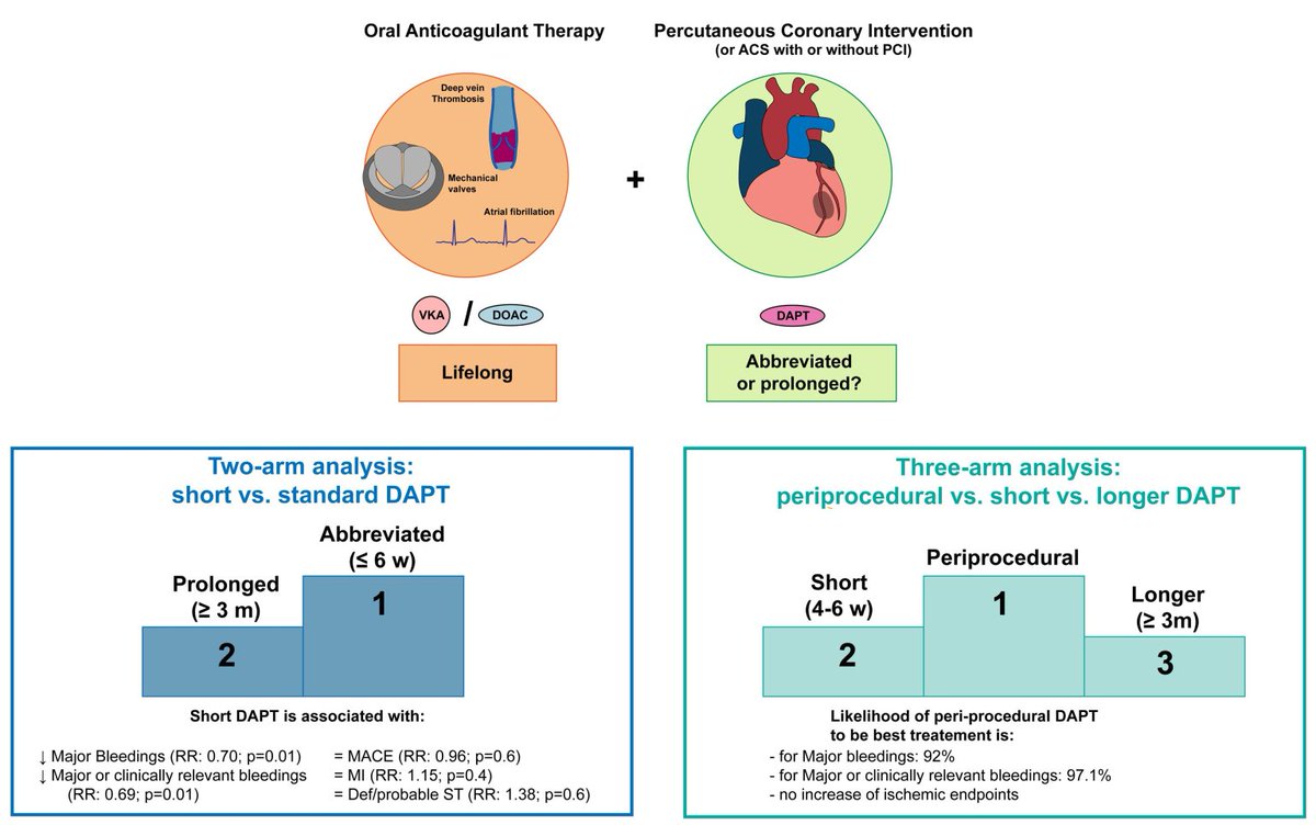 Felice Gragnano (@felicegragnano) on Twitter photo This is the 1st🥇meta-analysis specifically evaluating the impact of DAPT #duration after PCI in pts with an indication for OAC - irrespective of OAC #type❗ New data in #ehjcvp supports periprocedural #triple therapy💊⤵️
academic.oup.com/ehjcvp/advance…
<a href="/vlgmrc/">Marco Valgimigli</a> <a href="/MdMontalto/">Claudio Montalto</a> <a href="/AgewallStefan/">Stefan Agewall</a> This is the 1st🥇meta-analysis specifically evaluating the impact of DAPT #duration after PCI in pts with an indication for OAC - irrespective of OAC #type❗ New data in #ehjcvp supports periprocedural #triple therapy💊⤵️
academic.oup.com/ehjcvp/advance…
<a href="/vlgmrc/">Marco Valgimigli</a> <a href="/MdMontalto/">Claudio Montalto</a> <a href="/AgewallStefan/">Stefan Agewall</a>
