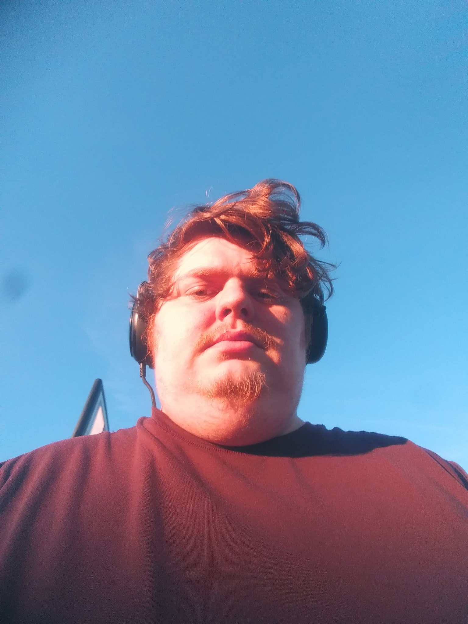 Jesse On Twitter If You Feel That My Bad Going For A Walk Https t jesse-on-twitter-if-you-feel-that-my-bad-going-for-a-walk-https-t