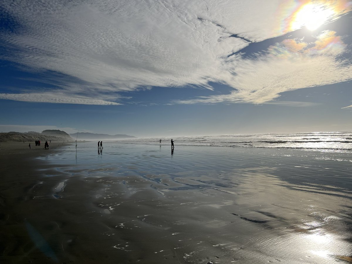 Kraken_SF's tweet image. While lots of folks were out shopping, the amazing beach was nearly empty, just some people fishing and a few dog walkers were our only traffic aside from the wildlife. It just felt private and magical! #emptybeach #blackfriday