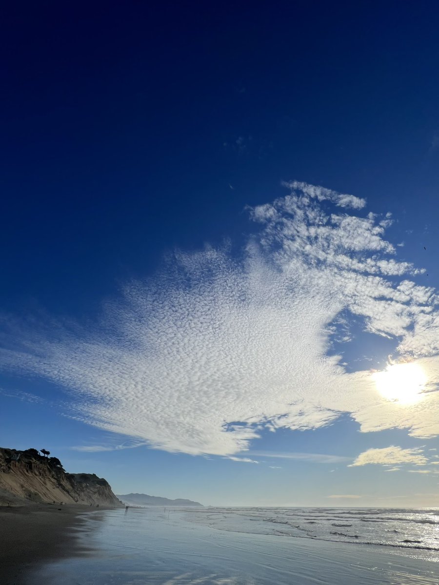 Kraken_SF's tweet image. While lots of folks were out shopping, the amazing beach was nearly empty, just some people fishing and a few dog walkers were our only traffic aside from the wildlife. It just felt private and magical! #emptybeach #blackfriday