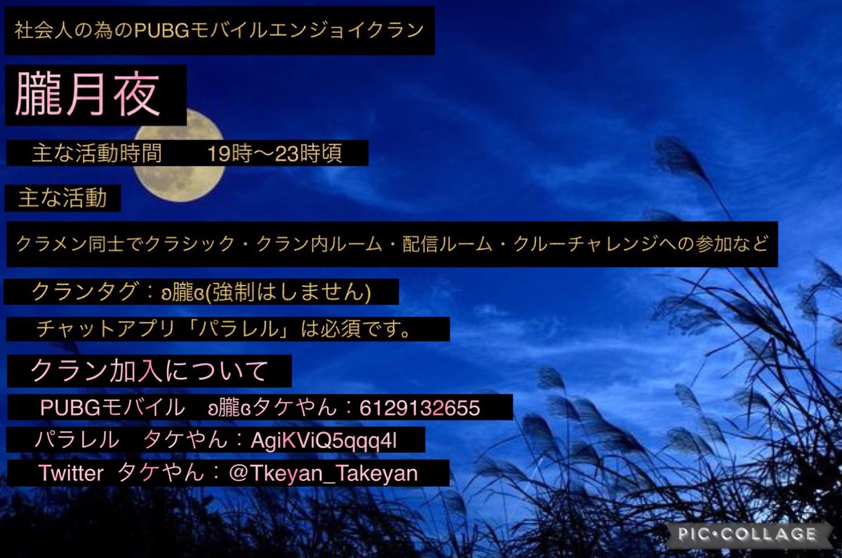 タケやん tweet media