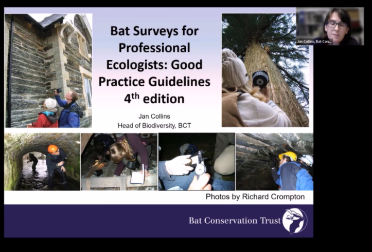 _BCT_'s tweet photo. Next up we have Jan Collins, Head of Biodiversity @_BCT_ with an update about the Bat Surveys for Professionals Ecologists: Good Practice Guidelines 4th edition!  #EastBatConf https://t.co/36VPukvM81