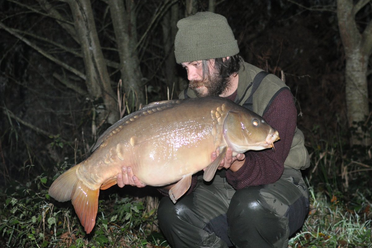 madferrit05's tweet photo. A nice 26lb 5oz mirror from last night, not bad for the first night back at the lake for 5 months #carp #carpfishing #carplife #carpangler #fishing #carpfishing #angling #madbaits #banktackle #carpuk https://t.co/WIq5nFQSbO