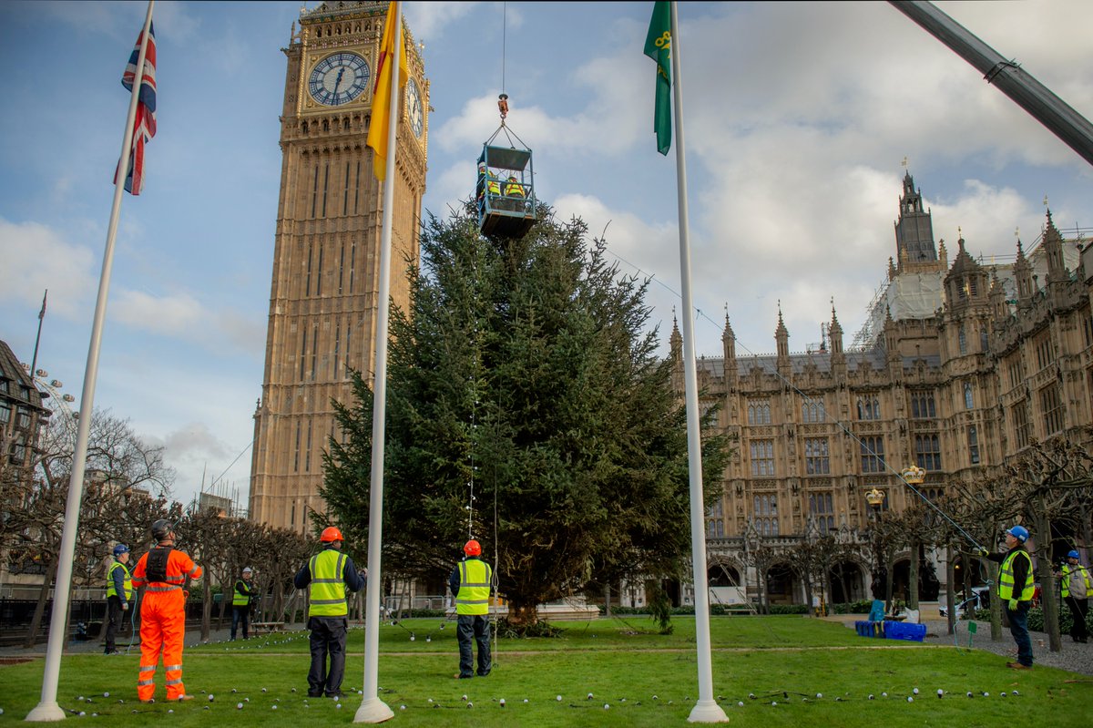 UK Parliament’s 2022 Christmas Tree, gifted by @forestryengland, has taken centre stage in the heart of the Parliamentary Estate at Westminster.

The tree was transported from Northumberland’s Kielder Forest and was installed in New Palace Yard today by our staff.