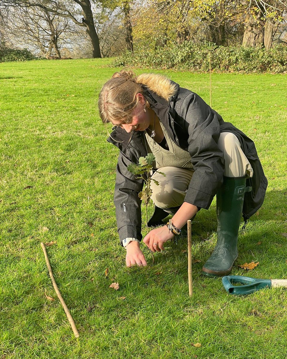 JeanLouisButton's tweet photo. A few snaps from our #treeplanting session in Singleton Park on Friday with the @SwanseaUni tree society for the #Movember awareness campaign on #mensmentalhealth 🌱👏 https://t.co/Hjfz9F9hP1