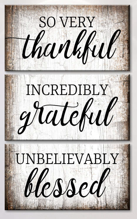 LutheranSGO's tweet photo. The Sidekick- November 2022 Edition-Thankful - https://t.co/LjLfiaX4PL https://t.co/rtsFyOHLNE