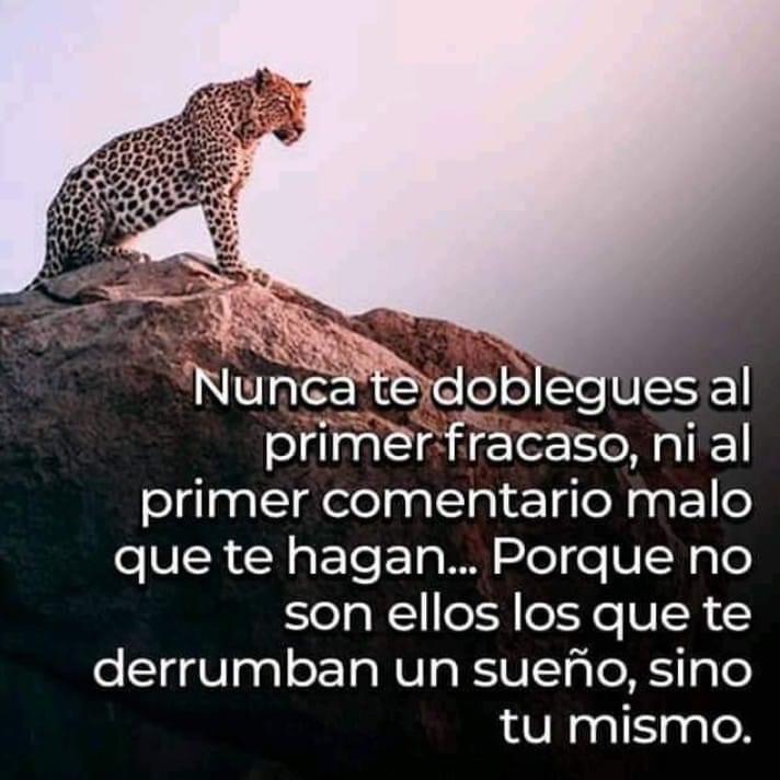 Paulo Coelho Español (@paulocoelhodice) on Twitter photo 