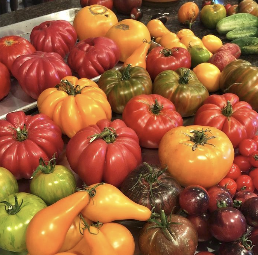 2023 Seeds Are Back IN STOCK! - mailchi.mp/10958a4a3a7b/g…
