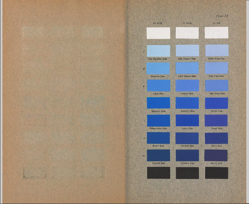 Máximo Gavete tweet media