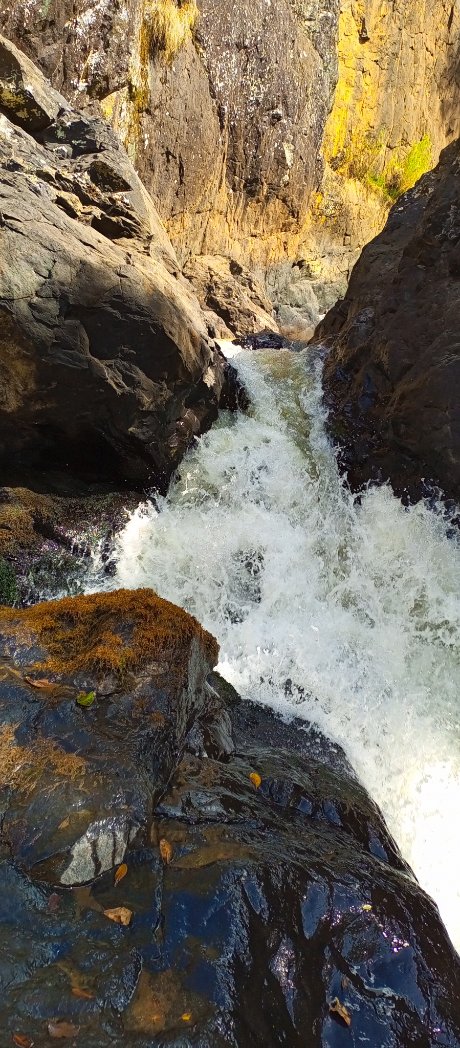 ClanzRyan's tweet photo. @Chepkit Waterfall and its environs

#thetraveller
#theexplorer
#knowkenya https://t.co/FDjYR51E3e