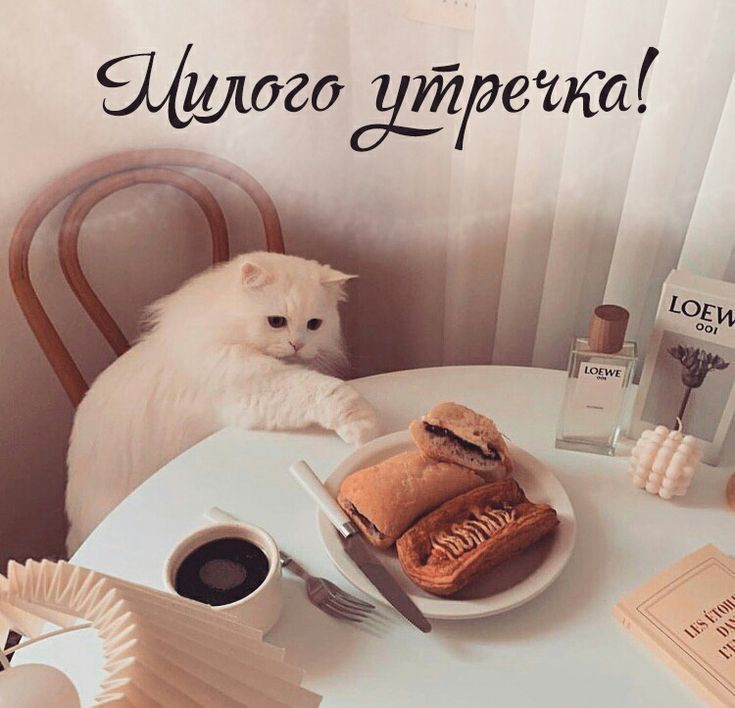 негаон (@nega0n) on Twitter photo 
