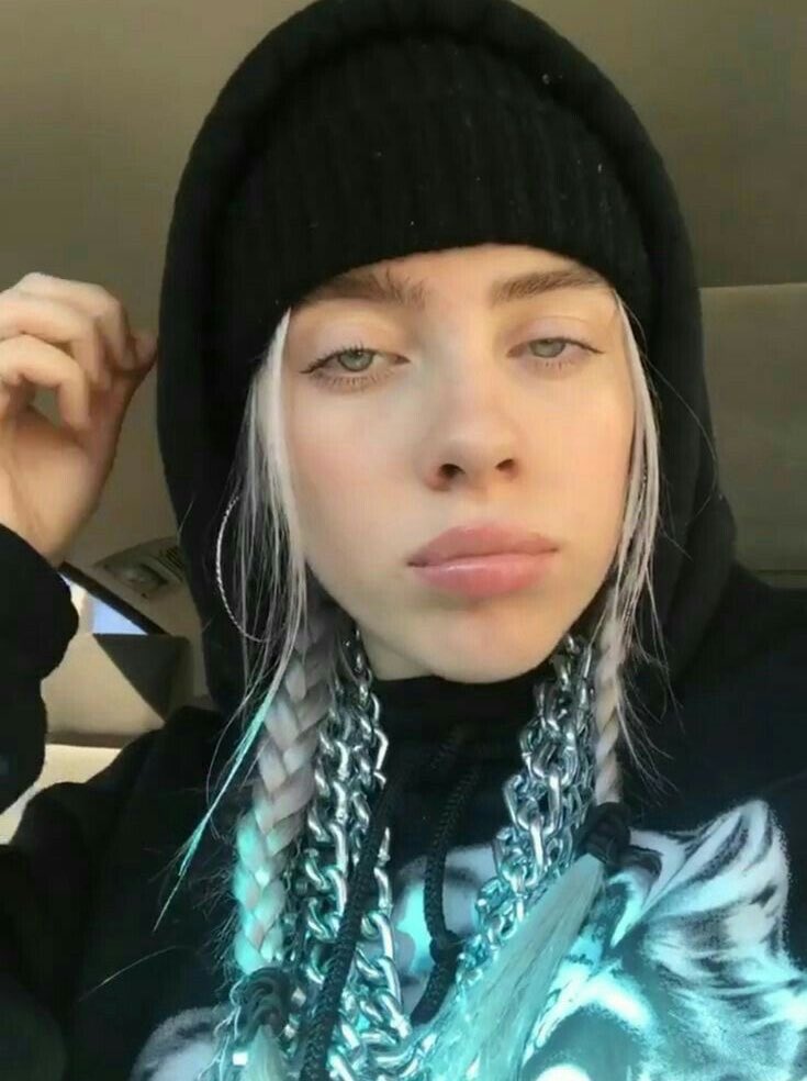 masha ･ﾟ * FINE LINE DAY on Twitter "billie eilish with braids