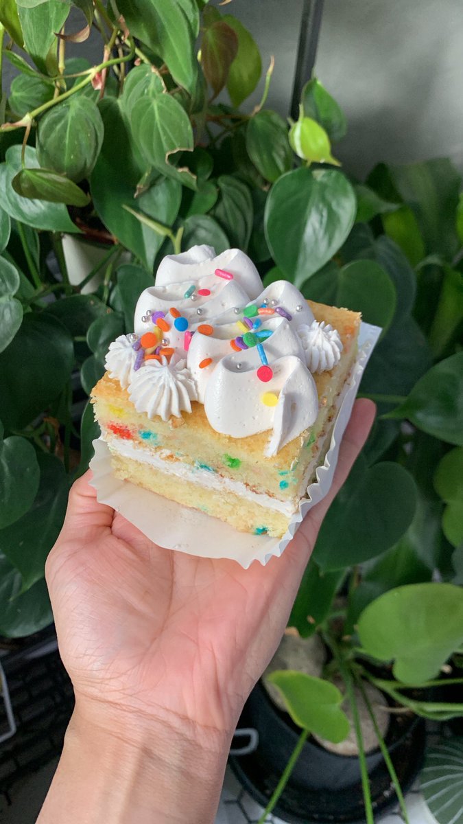 GraveTesse's tweet image. High times ✨ nothing better than infused funfetti cake 🥹