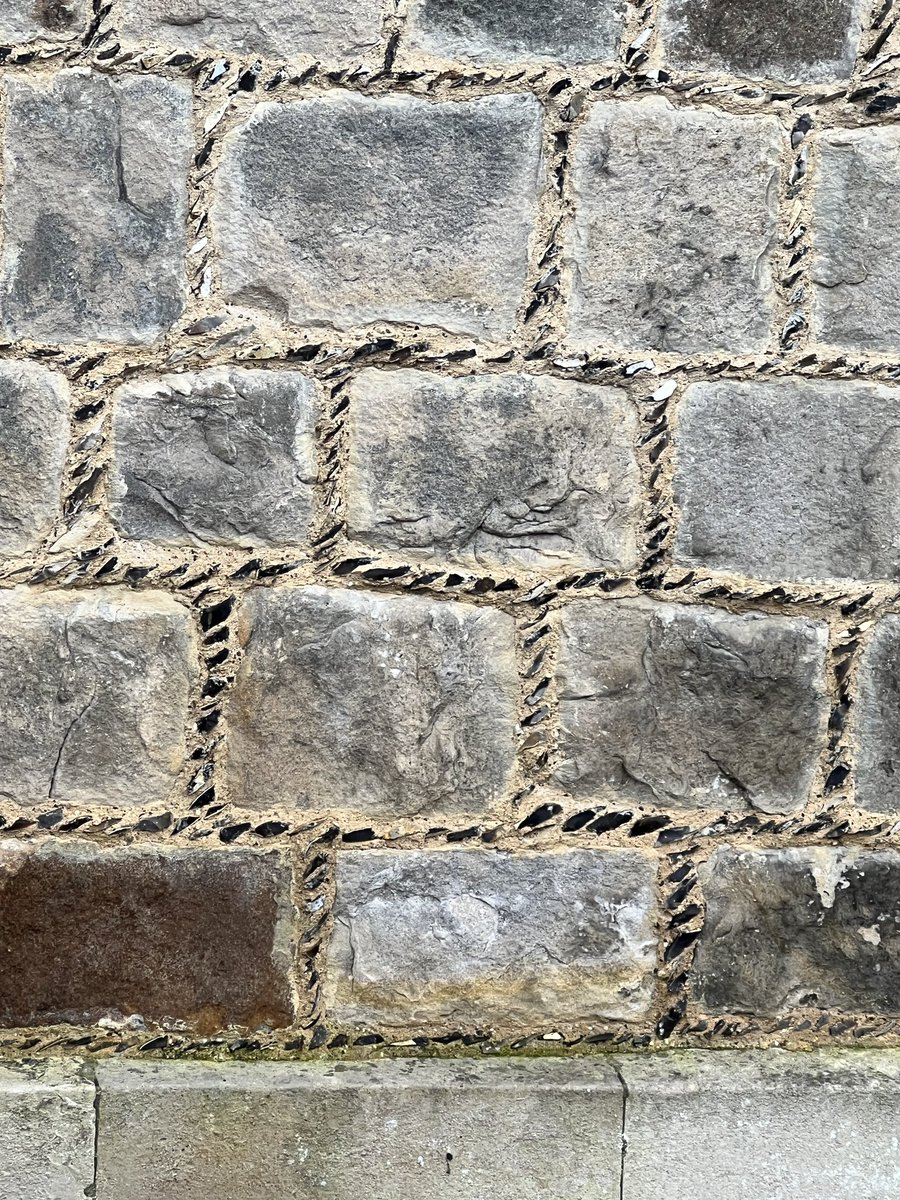 andycmt09's tweet image. 