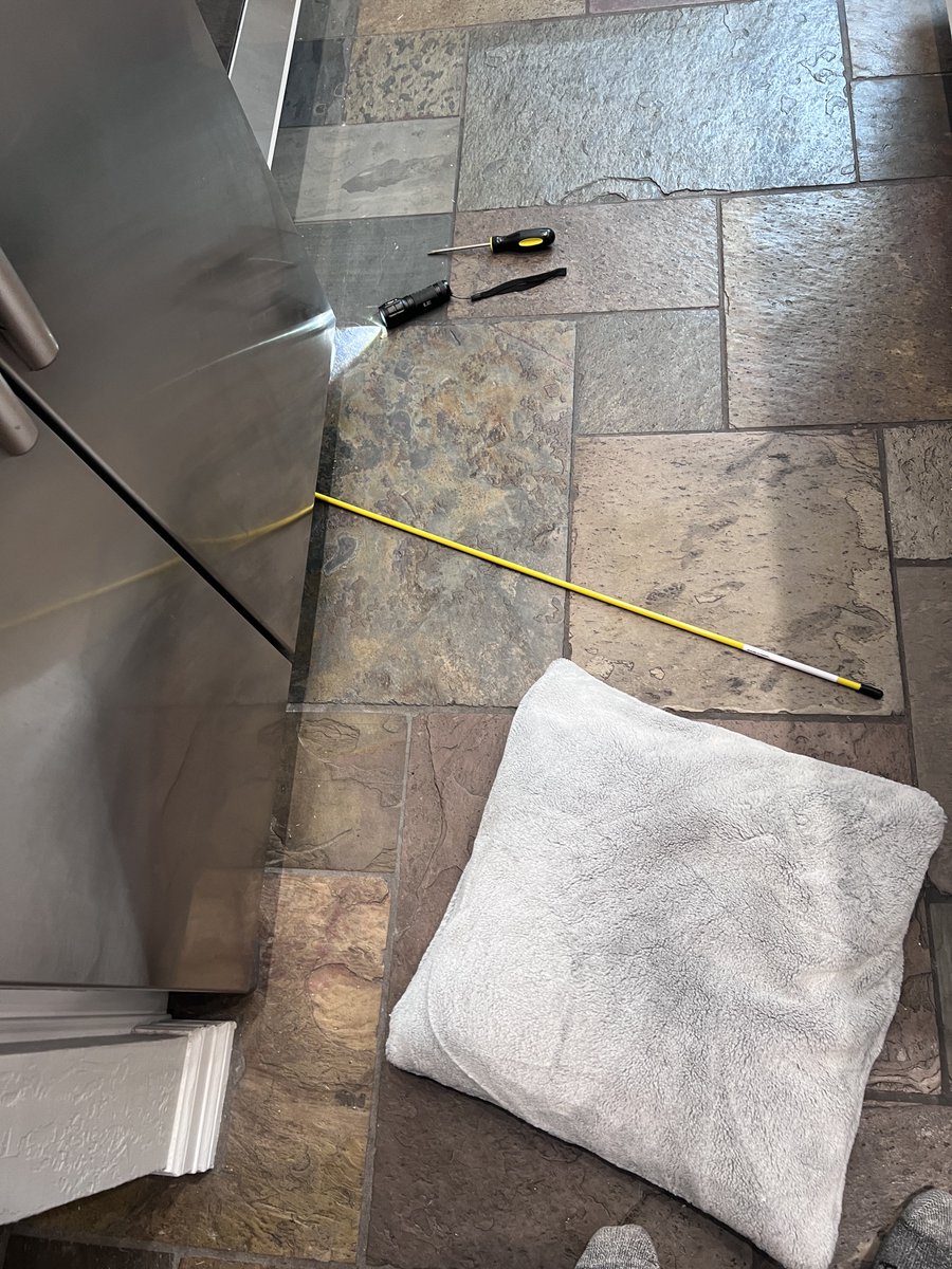 Rick Golfs tweet media