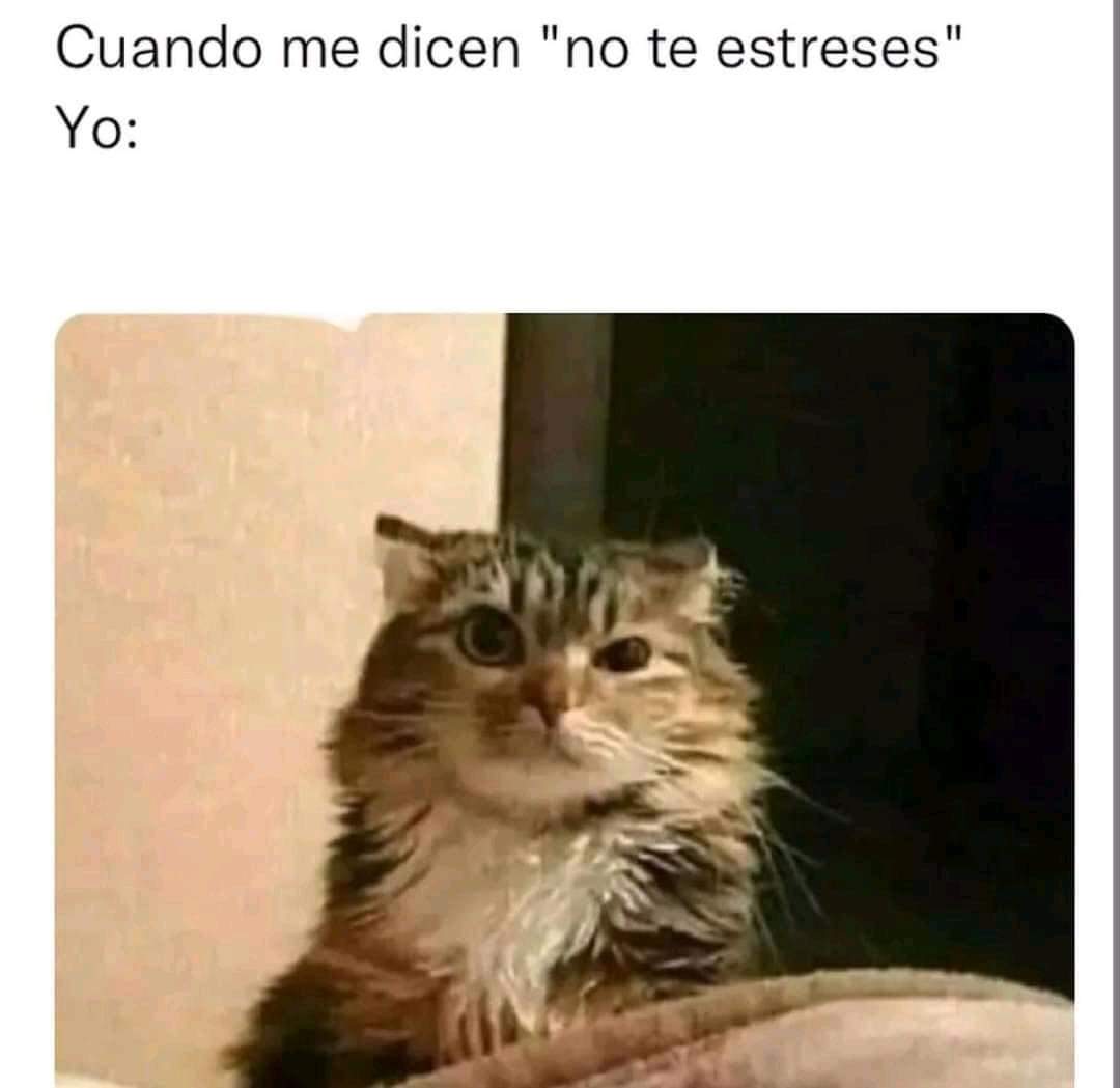 explico_como's tweet photo. Me estreso más jsjsjs https://t.co/JQrZdWgfyE