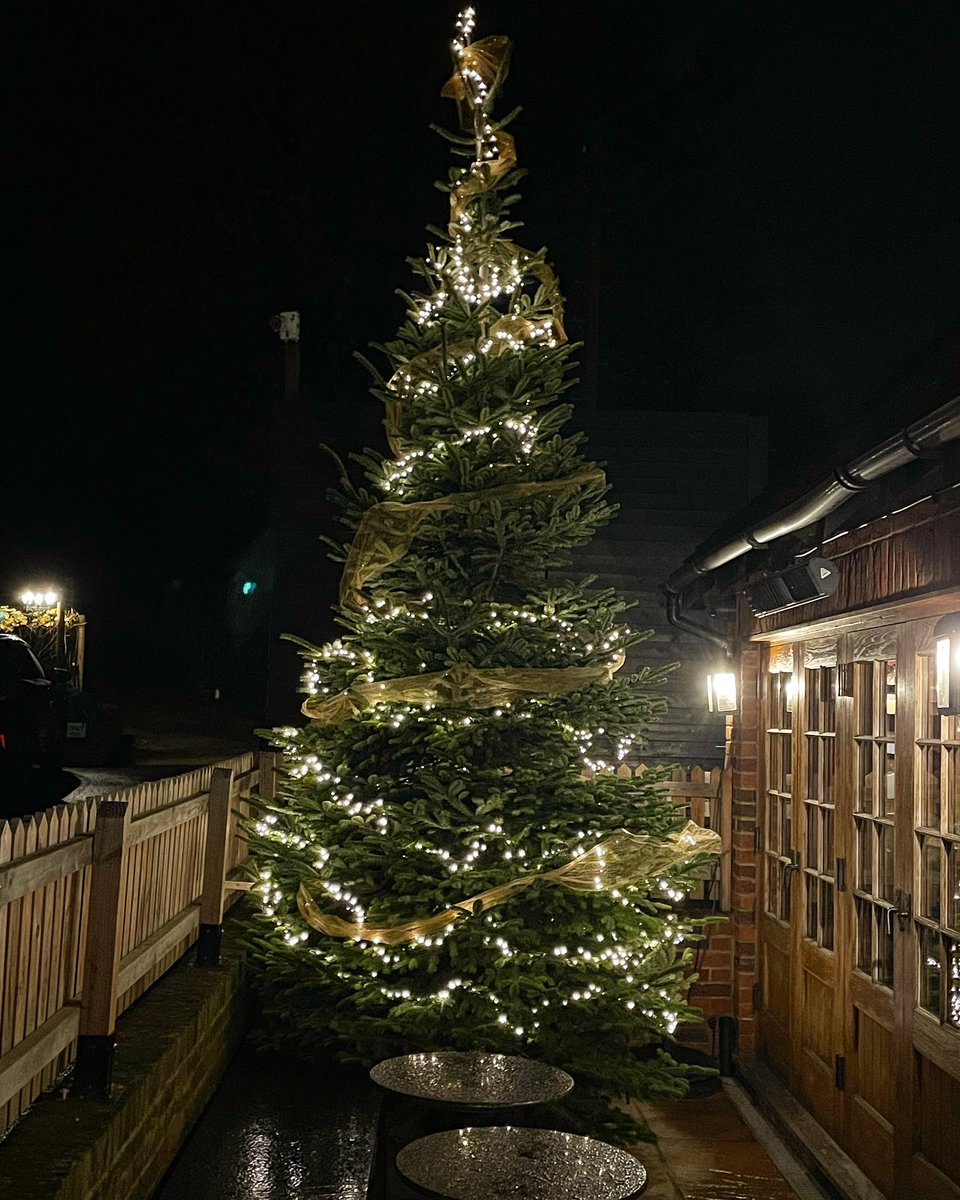 Christmas is in full swing here now that our tree is up 🎄💫 #Christmas #Tree #TisTheSeason #Festive