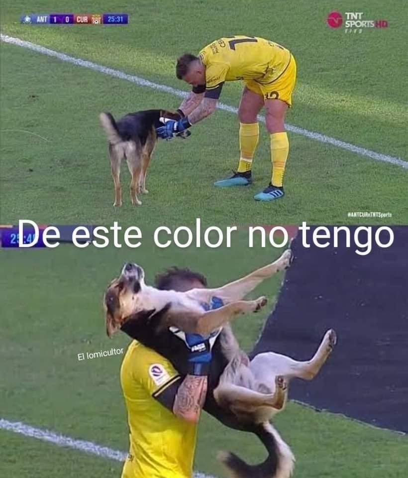Yo cuando veo un perrito de la calle.