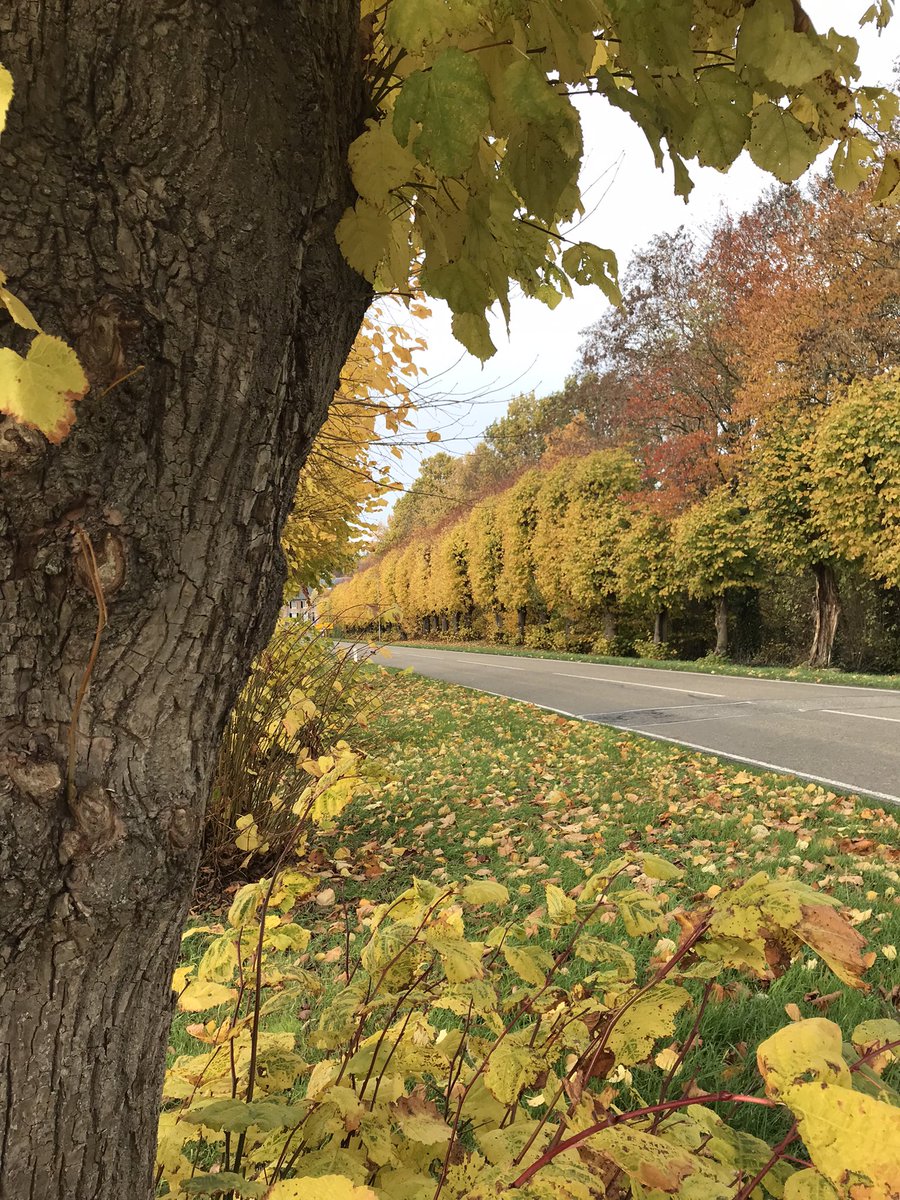 Is de herfst ook jouw favoriete seizoen? #MagnifiekZL #teamherfst