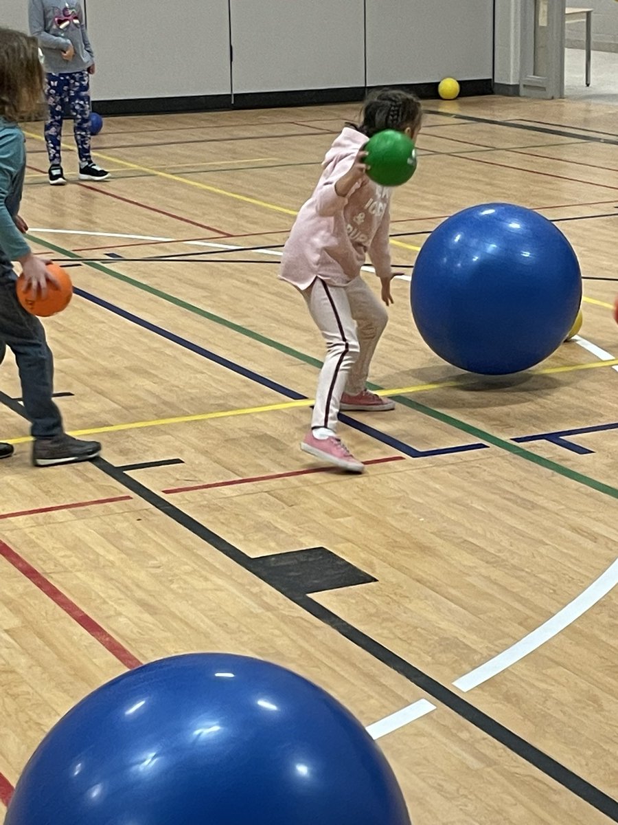 Mr. Davidson’s Grade 3s tweet media