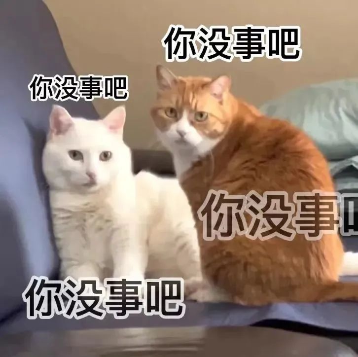 LW610zm's tweet photo. @caixiaoci https://t.co/07vOpClI3g