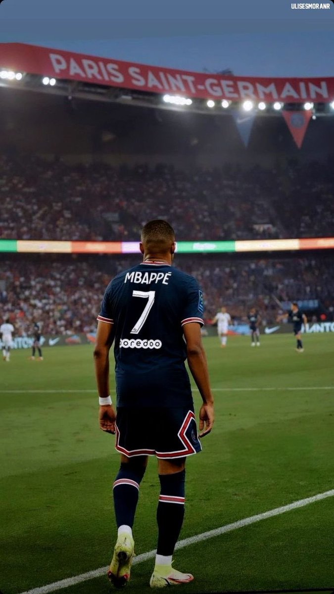 Taylor Davies tweet media