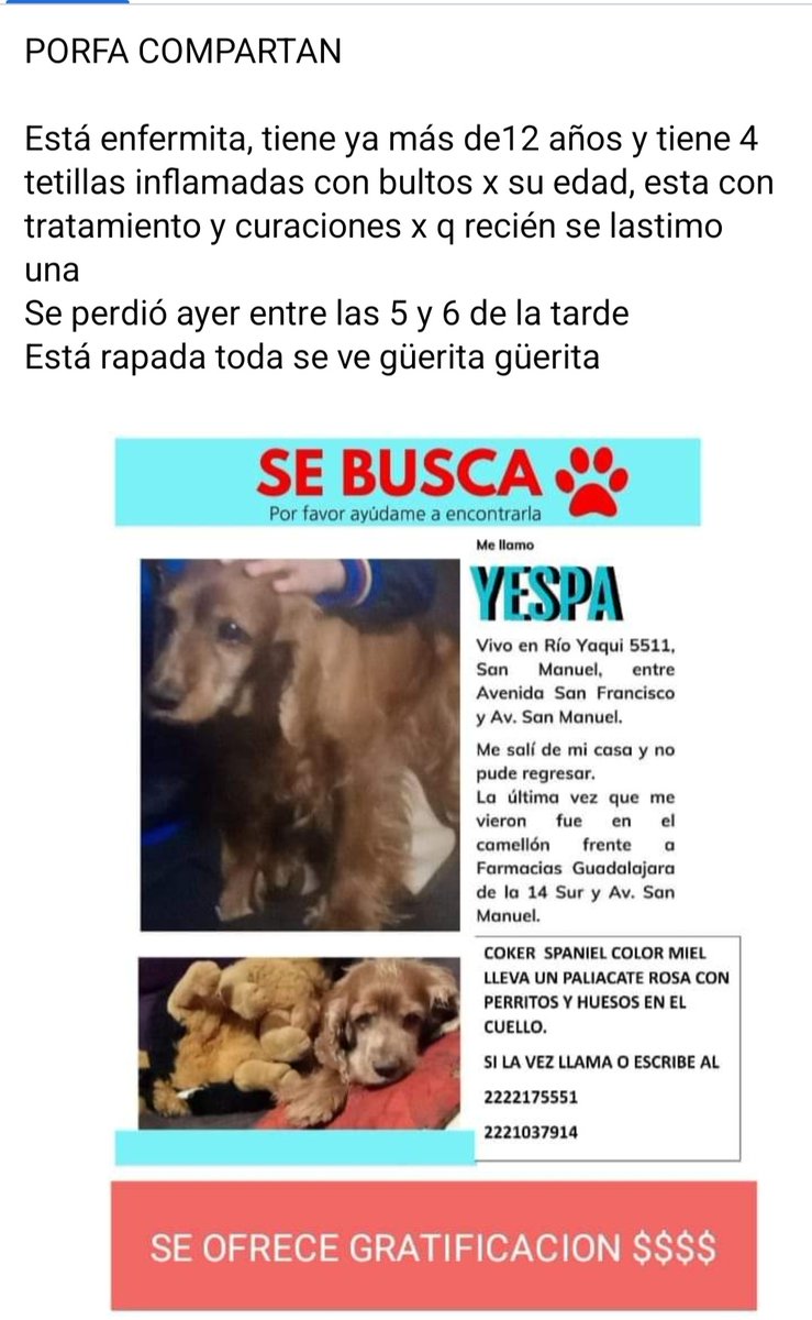 pawwwso's tweet photo. @JCarlos_Valerio por favor, podría compartir... 

Muchas gracias https://t.co/kWrPS50I4H