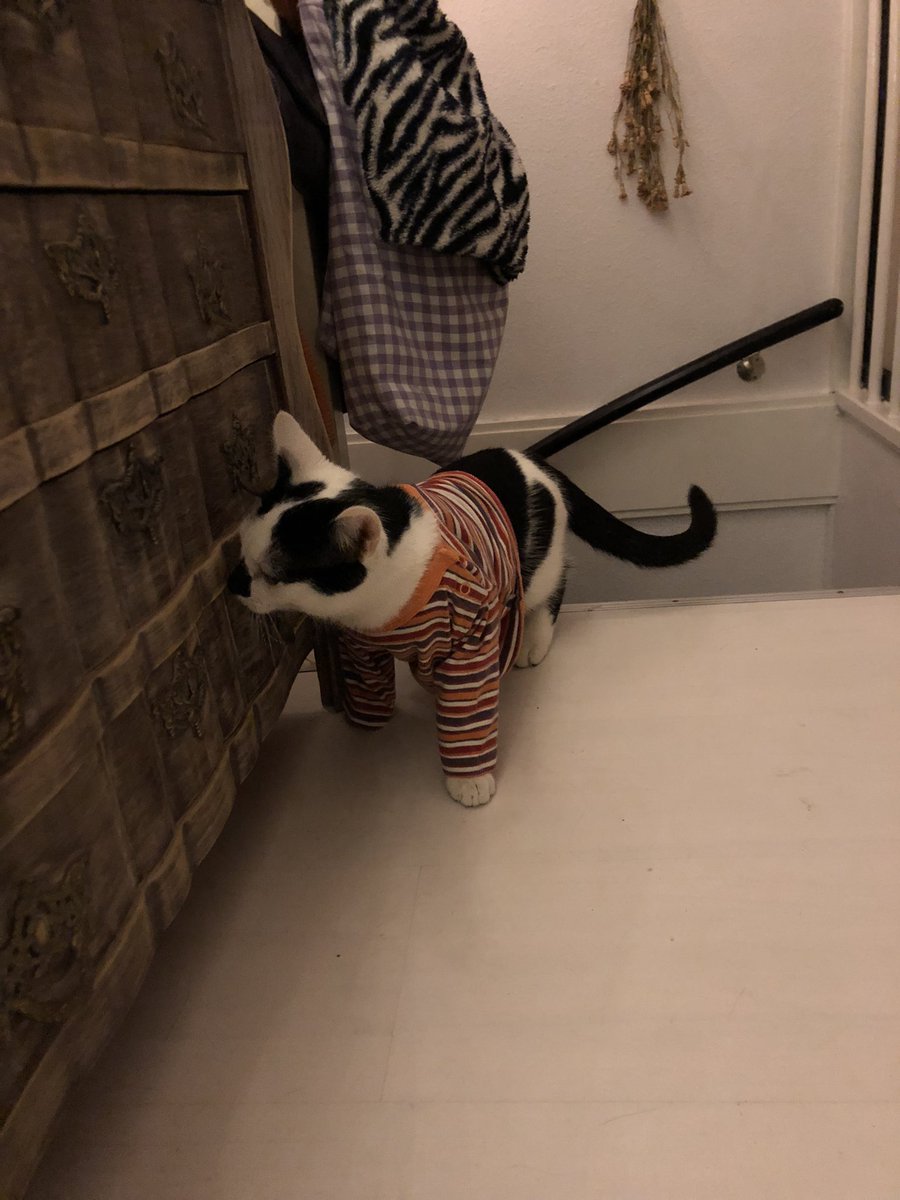 lil shirt
