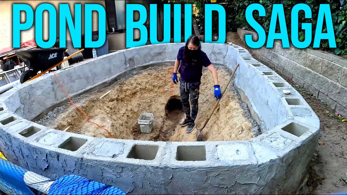 AllForGardening's tweet photo. Backyard #Koi #Pond Build, Ready ...
#BackyardPond #BottomDrain #Diy #DiyPond #DiyPondBuild #DiyPondFilter
https://t.co/GH7RAs6YhP https://t.co/7y3AyxXa6O