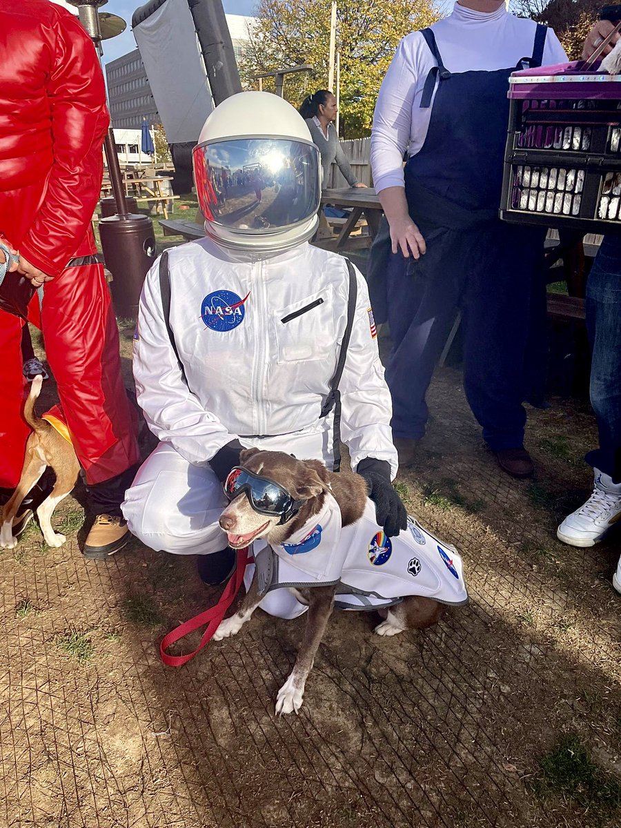 shipgarten's tweet photo. Some of our favorite dog pics bc today is our Barks and Brews festival! https://t.co/ViRKefBAXe
